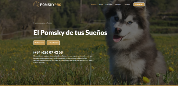Diseño web del criadero PomskyPro, con galería y fichas de camadas